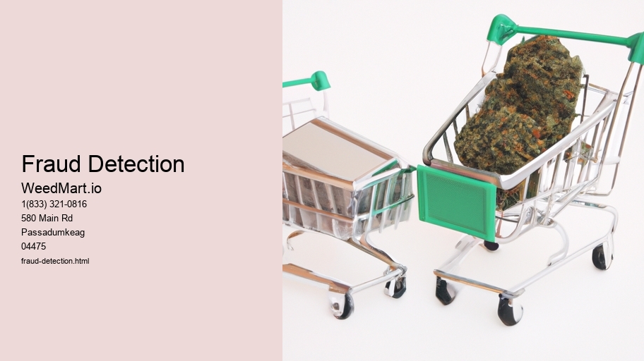 Fraud Detection